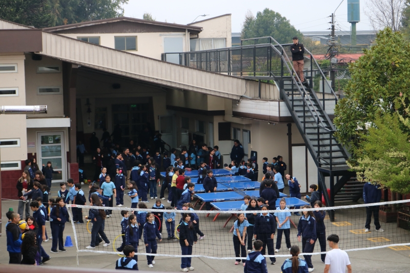 Día de la Actividad Física